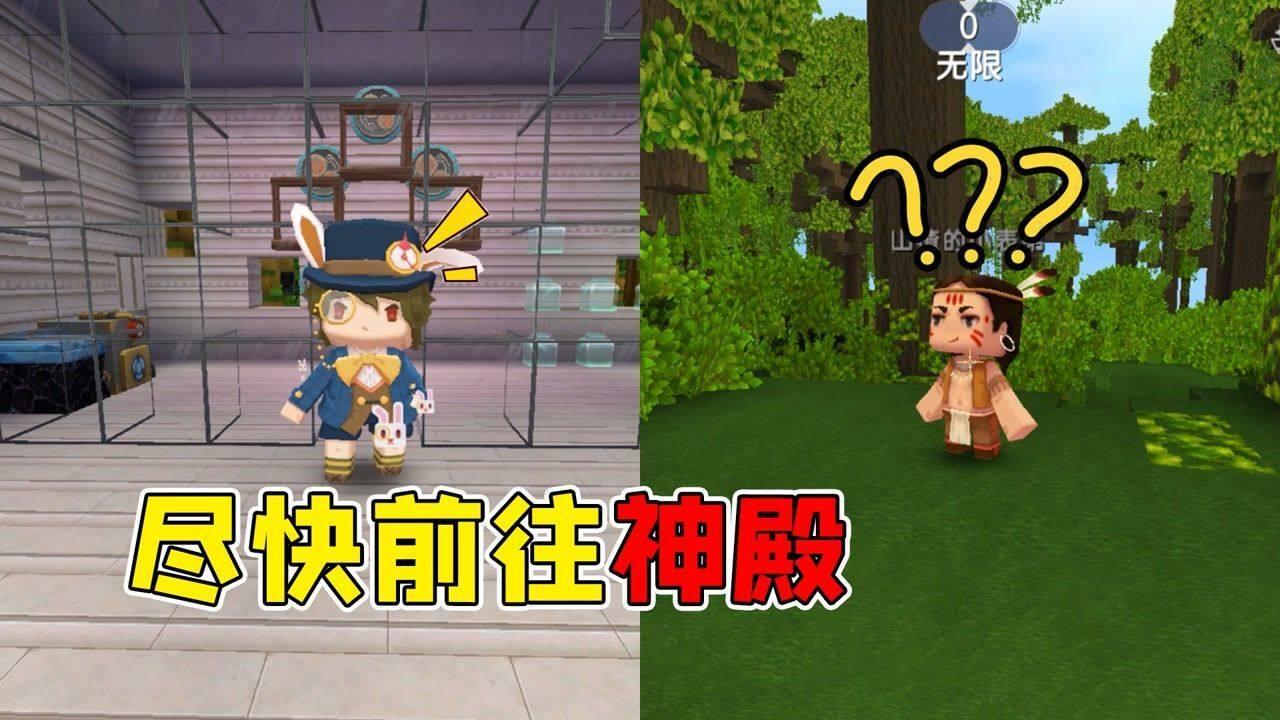 春雨直播app